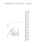 SYNTHETIC TRANSTAGANOLIDE AND BASILIOLIDE PRODUCTS, DERIVATIVES THEREOF,     AND SYNTHESIS METHODS THEREOF diagram and image