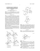 SYNTHETIC TRANSTAGANOLIDE AND BASILIOLIDE PRODUCTS, DERIVATIVES THEREOF,     AND SYNTHESIS METHODS THEREOF diagram and image