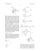 SYNTHETIC TRANSTAGANOLIDE AND BASILIOLIDE PRODUCTS, DERIVATIVES THEREOF,     AND SYNTHESIS METHODS THEREOF diagram and image