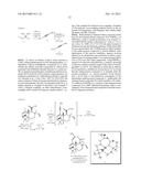 SYNTHETIC TRANSTAGANOLIDE AND BASILIOLIDE PRODUCTS, DERIVATIVES THEREOF,     AND SYNTHESIS METHODS THEREOF diagram and image