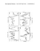 APPARATUS, METHOD AND COMPUTER-ACCESSIBLE MEDIUM FOR TRANSFORM ANALYSIS OF     BIOMEDICAL DATA diagram and image