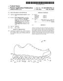 Sole And Article Of Footwear diagram and image