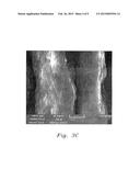 DISPOSABLE PALLADIUM NANOPARTICLE-MODIFIED GRAPHITE PENCIL ELECTRODE diagram and image