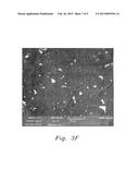 DISPOSABLE PALLADIUM NANOPARTICLE-MODIFIED GRAPHITE PENCIL ELECTRODE diagram and image