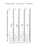 Plume Collimation for Laser Ablation Electrospray Ionization Mass     Spectrometry diagram and image