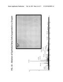 Plume Collimation for Laser Ablation Electrospray Ionization Mass     Spectrometry diagram and image