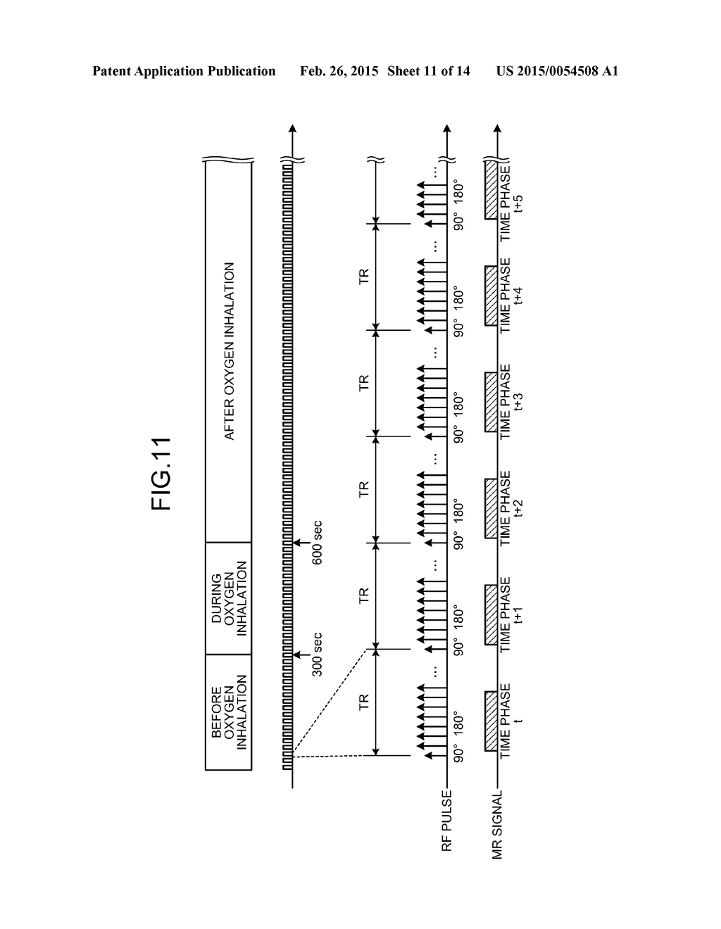 MAGNETIC RESONANCE IMAGING APPARATUS AND IMAGE PROCESSING APPARATUS - diagram, schematic, and image 12