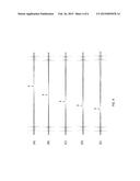 VARIABLE BEAM EXPANDER diagram and image