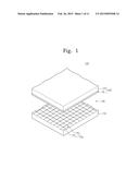 ELECTROWETTING DISPLAY DEVICE diagram and image