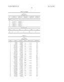 CATADIOPTRIC PROJECTION OBJECTIVE diagram and image