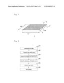 STEREOGRAM DISPLAY MEMBER AND FORMING METHOD THEREOF diagram and image