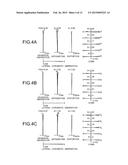 ZOOMING OPTICAL SYSTEM, OPTICAL APPARATUS AND METHOD FOR MANUFACTURING     ZOOMING OPTICAL SYSTEM diagram and image