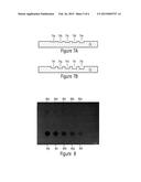 METHOD AND SYSTEM FOR NON-DESTRUCTIVELY EVALUATING A HIDDEN WORKPIECE diagram and image