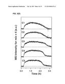 NEW METHODS AND MATERIALS FOR THE THERMOCHEMICAL PRODUCTION OF HYDROGEN     FROM WATER diagram and image