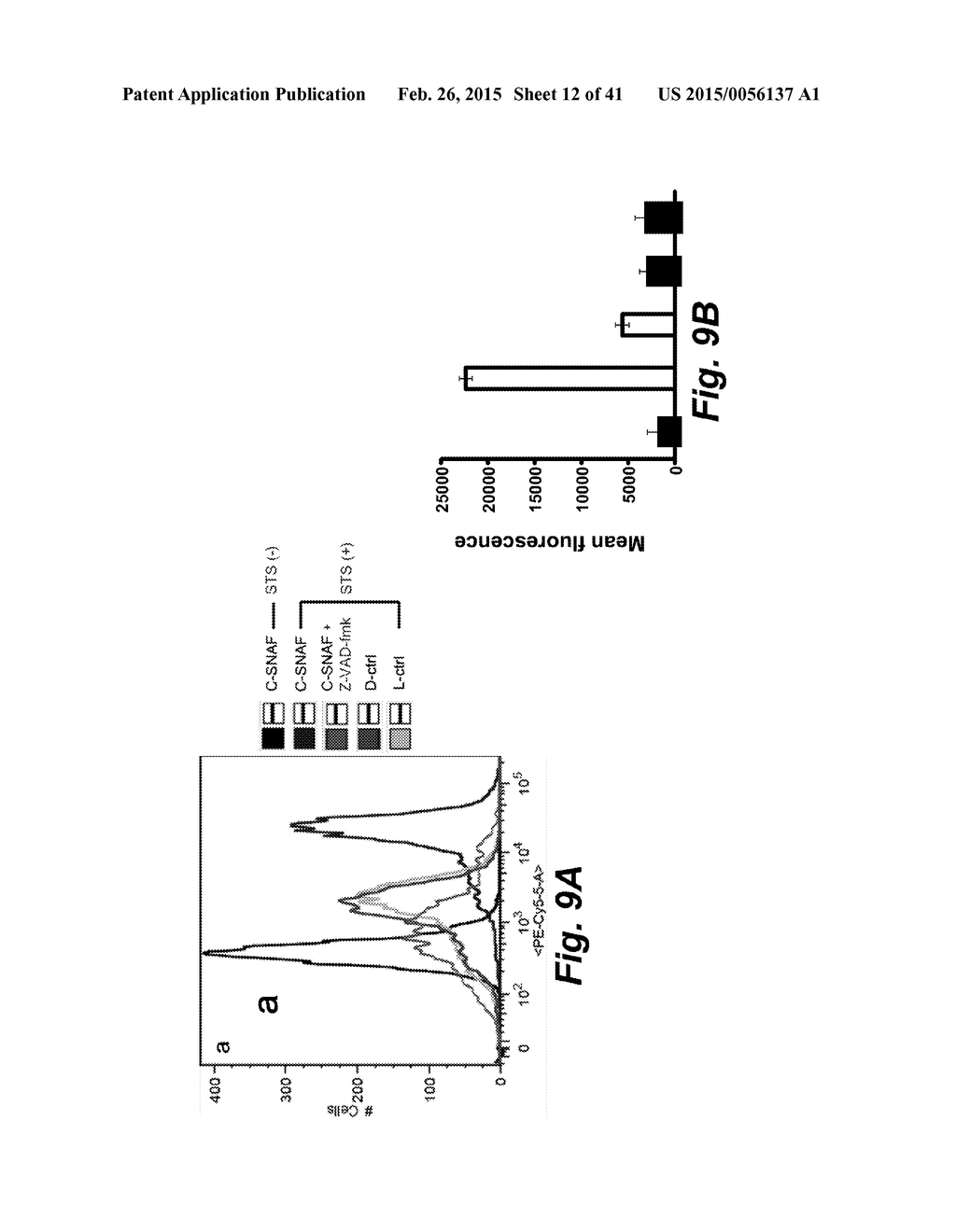 CASPASE-TRIGGERED NANO-AGGREGATION PROBES AND METHODS OF USE - diagram, schematic, and image 13