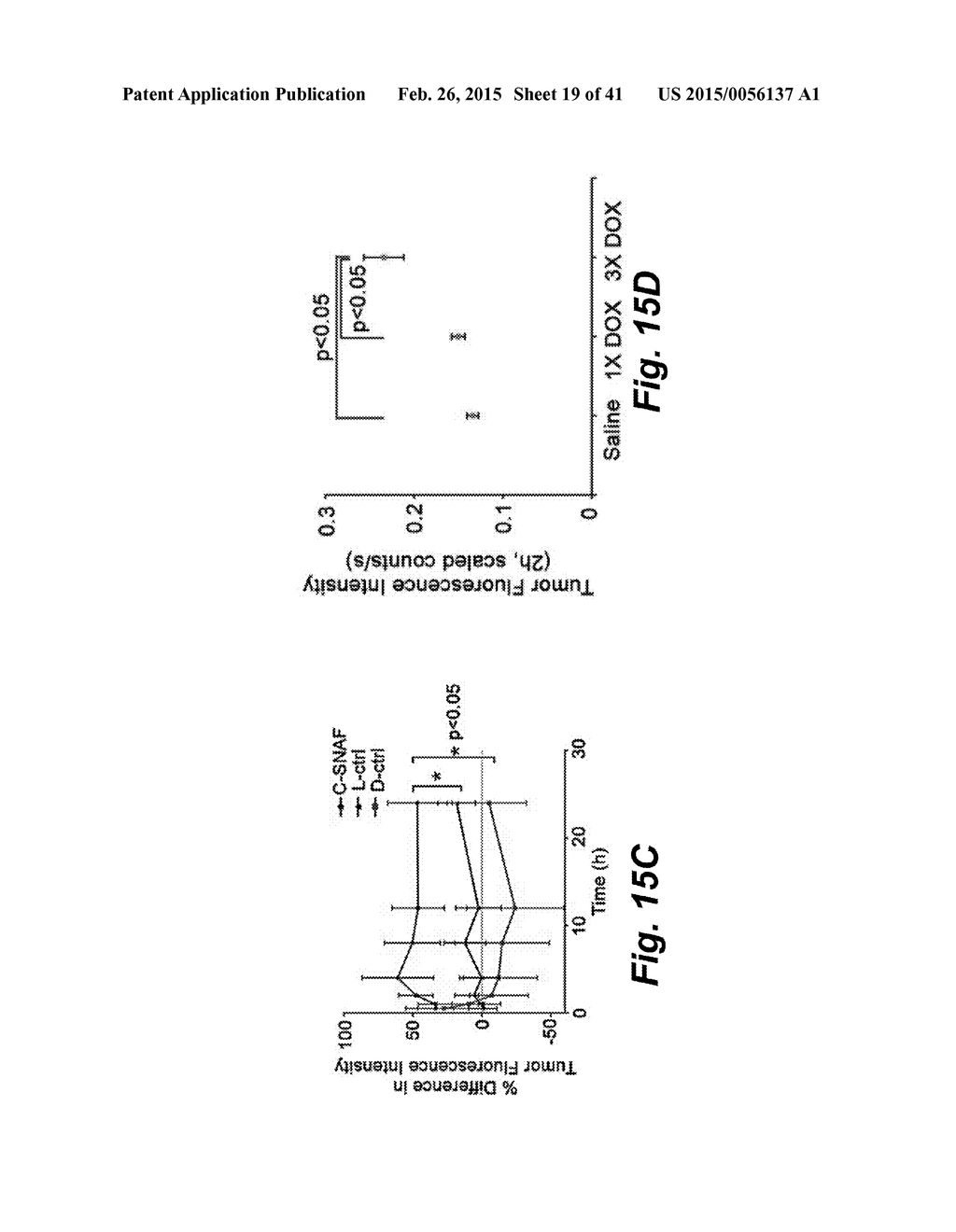 CASPASE-TRIGGERED NANO-AGGREGATION PROBES AND METHODS OF USE - diagram, schematic, and image 20
