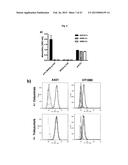 The IgM and IgE Heavy Chain Domain 2 as Covalently Linked Homodimerization     Modules for the Generation of Fusion Proteins with Dual Specificity diagram and image