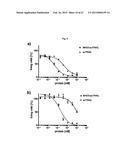 The IgM and IgE Heavy Chain Domain 2 as Covalently Linked Homodimerization     Modules for the Generation of Fusion Proteins with Dual Specificity diagram and image