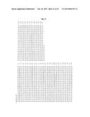 The IgM and IgE Heavy Chain Domain 2 as Covalently Linked Homodimerization     Modules for the Generation of Fusion Proteins with Dual Specificity diagram and image