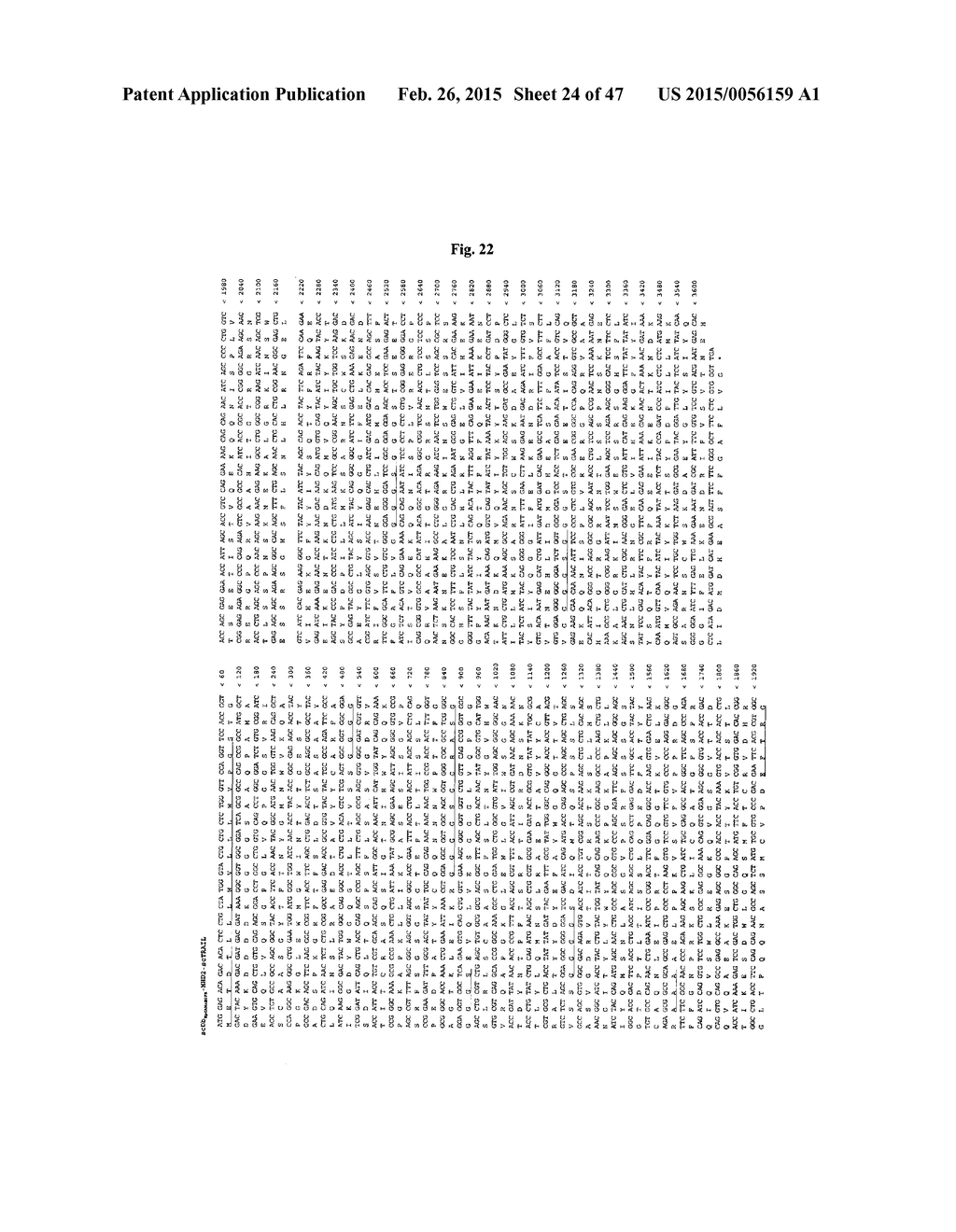 The IgM and IgE Heavy Chain Domain 2 as Covalently Linked Homodimerization     Modules for the Generation of Fusion Proteins with Dual Specificity - diagram, schematic, and image 25