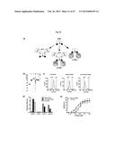 The IgM and IgE Heavy Chain Domain 2 as Covalently Linked Homodimerization     Modules for the Generation of Fusion Proteins with Dual Specificity diagram and image