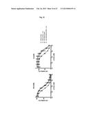 The IgM and IgE Heavy Chain Domain 2 as Covalently Linked Homodimerization     Modules for the Generation of Fusion Proteins with Dual Specificity diagram and image