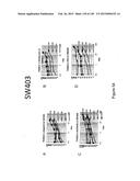 NOVEL COMPOSITIONS OF COMBINATIONS OF NON-COVALENT DNA BINDING AGENTS AND     ANTI-CANCER AND/OR ANTI-INFLAMMATORY AGENTS AND THEIR USE IN DISEASE     TREATMENT diagram and image