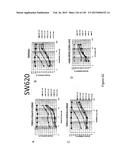 NOVEL COMPOSITIONS OF COMBINATIONS OF NON-COVALENT DNA BINDING AGENTS AND     ANTI-CANCER AND/OR ANTI-INFLAMMATORY AGENTS AND THEIR USE IN DISEASE     TREATMENT diagram and image