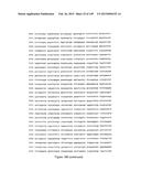 NOVEL COMPOSITIONS OF COMBINATIONS OF NON-COVALENT DNA BINDING AGENTS AND     ANTI-CANCER AND/OR ANTI-INFLAMMATORY AGENTS AND THEIR USE IN DISEASE     TREATMENT diagram and image