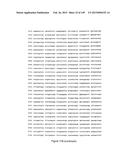 NOVEL COMPOSITIONS OF COMBINATIONS OF NON-COVALENT DNA BINDING AGENTS AND     ANTI-CANCER AND/OR ANTI-INFLAMMATORY AGENTS AND THEIR USE IN DISEASE     TREATMENT diagram and image