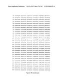 NOVEL COMPOSITIONS OF COMBINATIONS OF NON-COVALENT DNA BINDING AGENTS AND     ANTI-CANCER AND/OR ANTI-INFLAMMATORY AGENTS AND THEIR USE IN DISEASE     TREATMENT diagram and image