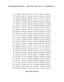 NOVEL COMPOSITIONS OF COMBINATIONS OF NON-COVALENT DNA BINDING AGENTS AND     ANTI-CANCER AND/OR ANTI-INFLAMMATORY AGENTS AND THEIR USE IN DISEASE     TREATMENT diagram and image