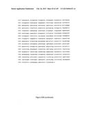 NOVEL COMPOSITIONS OF COMBINATIONS OF NON-COVALENT DNA BINDING AGENTS AND     ANTI-CANCER AND/OR ANTI-INFLAMMATORY AGENTS AND THEIR USE IN DISEASE     TREATMENT diagram and image