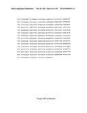 NOVEL COMPOSITIONS OF COMBINATIONS OF NON-COVALENT DNA BINDING AGENTS AND     ANTI-CANCER AND/OR ANTI-INFLAMMATORY AGENTS AND THEIR USE IN DISEASE     TREATMENT diagram and image