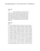 NOVEL COMPOSITIONS OF COMBINATIONS OF NON-COVALENT DNA BINDING AGENTS AND     ANTI-CANCER AND/OR ANTI-INFLAMMATORY AGENTS AND THEIR USE IN DISEASE     TREATMENT diagram and image