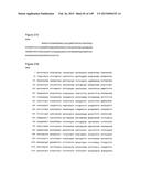 NOVEL COMPOSITIONS OF COMBINATIONS OF NON-COVALENT DNA BINDING AGENTS AND     ANTI-CANCER AND/OR ANTI-INFLAMMATORY AGENTS AND THEIR USE IN DISEASE     TREATMENT diagram and image