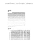 NOVEL COMPOSITIONS OF COMBINATIONS OF NON-COVALENT DNA BINDING AGENTS AND     ANTI-CANCER AND/OR ANTI-INFLAMMATORY AGENTS AND THEIR USE IN DISEASE     TREATMENT diagram and image