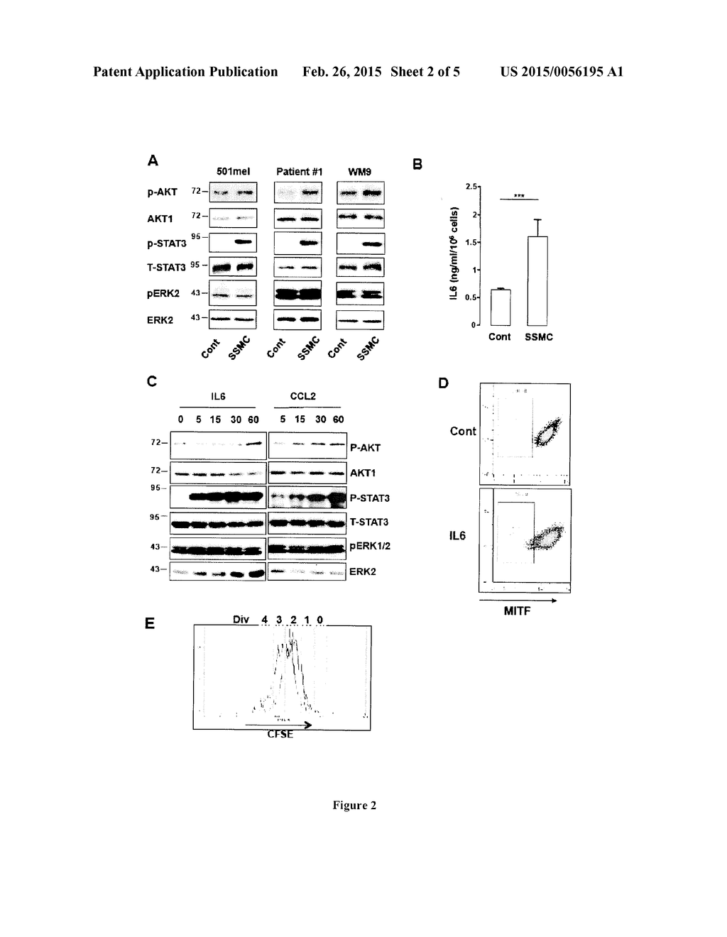 COMPOSITIONS AND METHODS FOR INIHIBITING TUMORIGENICITY OF SENESCENT     CANCER CELLS INDUCED BY CHEMOTHERAPY - diagram, schematic, and image 03