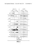 COMBINATION THERAPY WITH C-MET AND EGFR ANTAGONISTS diagram and image