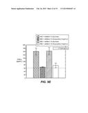 COMBINATION THERAPY WITH C-MET AND EGFR ANTAGONISTS diagram and image