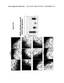 Heparin-Binding Epidermal Growth Factor-like Growth Factor Binding     Proteins diagram and image