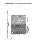 Heparin-Binding Epidermal Growth Factor-like Growth Factor Binding     Proteins diagram and image