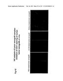 Heparin-Binding Epidermal Growth Factor-like Growth Factor Binding     Proteins diagram and image