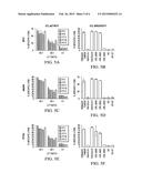 Composition and Method for Diagnosis and Immunotherapy of Lung Cancer diagram and image