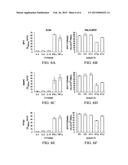 Composition and Method for Diagnosis and Immunotherapy of Lung Cancer diagram and image