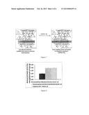 ENGINEERED PARTICULATE SYSTEMS FOR CONTROLLED RELEASE OF PESTICIDES AND     REPELLANTS diagram and image