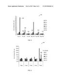 METAL NANOPARTICLES-DOPED ANTIBACTERIAL AGENTS AND METHODS OF PREPARATION     AND USE diagram and image