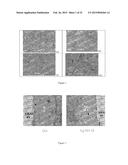 Coating and Coating Method diagram and image