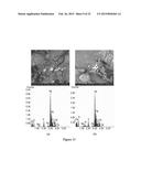 Coating and Coating Method diagram and image