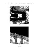 Coating and Coating Method diagram and image